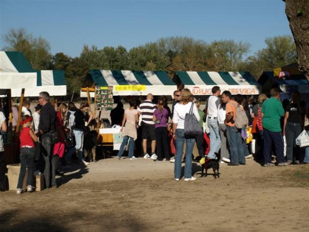 kućica kunića